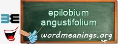 WordMeaning blackboard for epilobium angustifolium